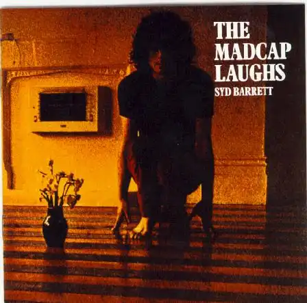 Еще обложки. Сольные альбомы участников Pink Floyd