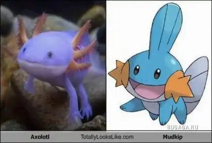 Поразительное сходство