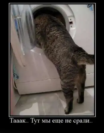 Прикольная фотоподборка (не о чем 8)