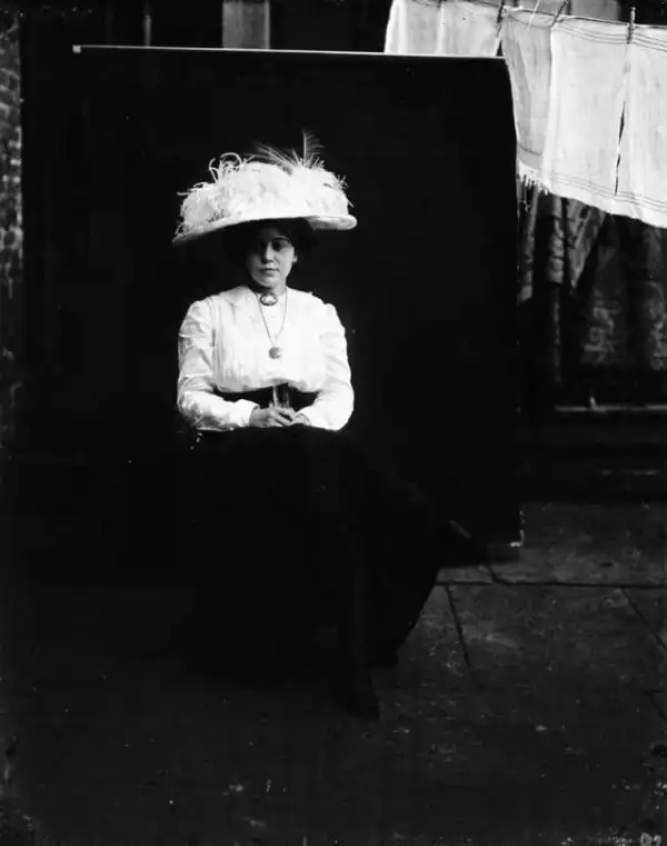 Ночные бабочки 1912 года