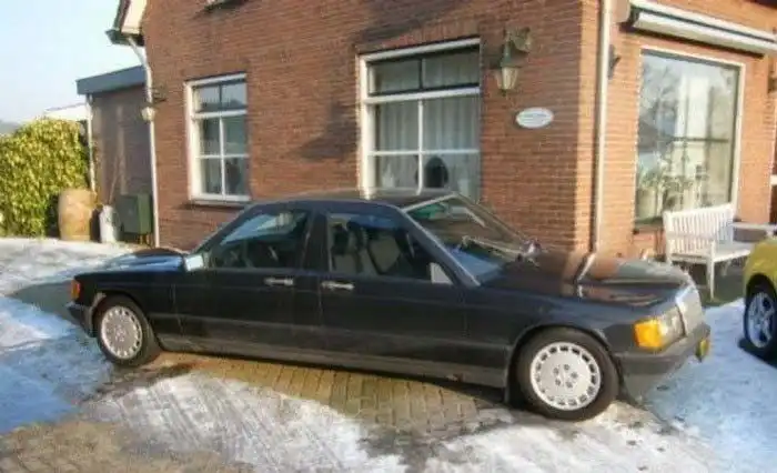 Тяни-толкай (4 фотографии)