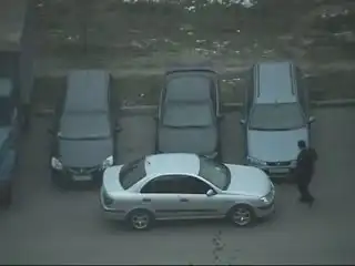 Бакланпаркинг!