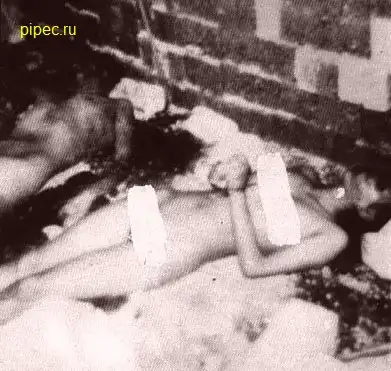 Мега жесть на ночь