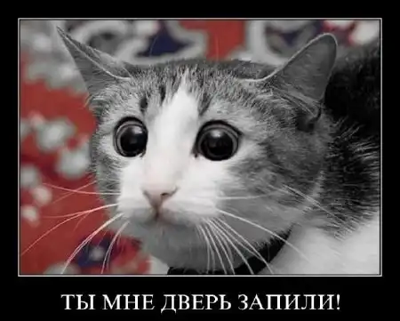 Демотиваторы. 1 раз.