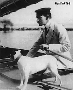 Мир насекомых от Луи Картье