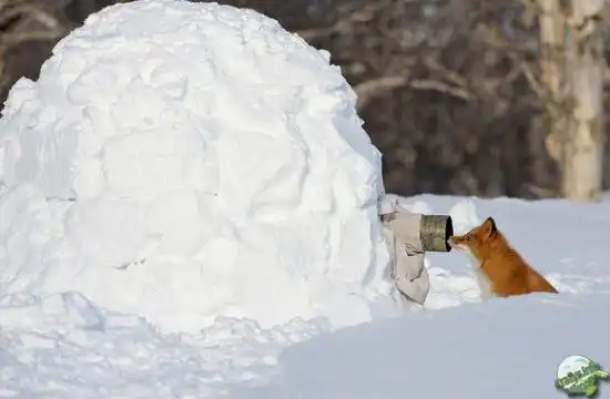 О шапке-невидимке