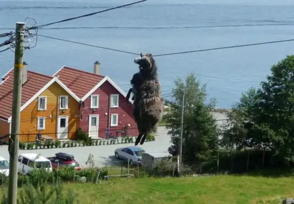 10 необычных происшествий с животными