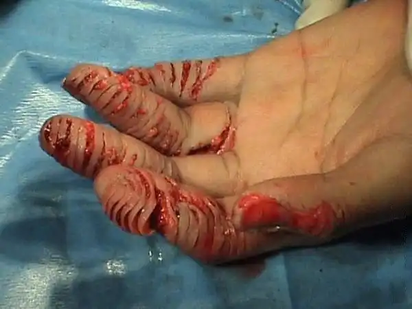 Чик-чик и готово ..