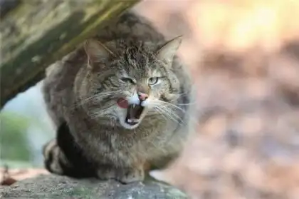 Небольшая подборка фото-приколов