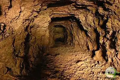 Профессии, которых больше нет (рекомендую)