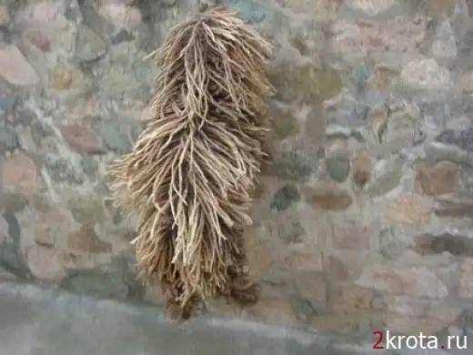 Живая швабра