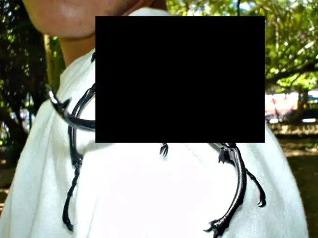 Костариканский жучог ( 12 фото )