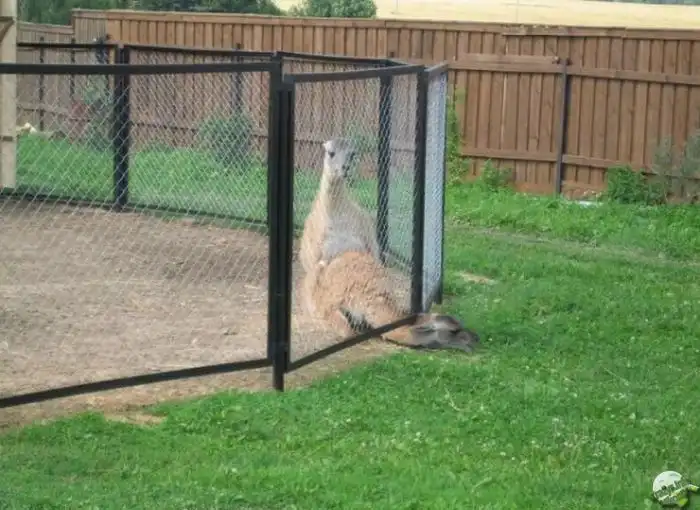 Прикольные картинки абавсём:D (02.04.10)