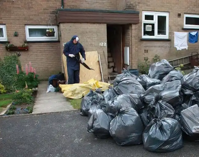 Свиньи года ( 10 фото , жесть )