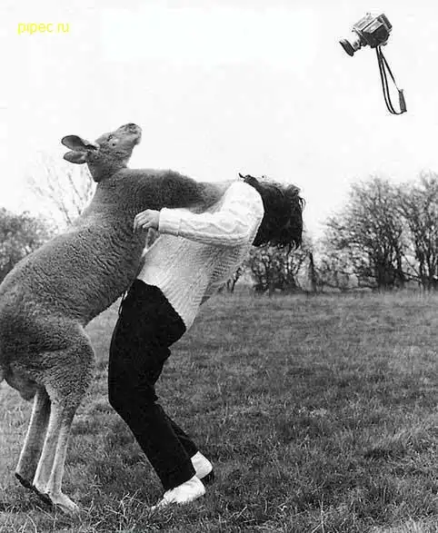 Прикольные фото