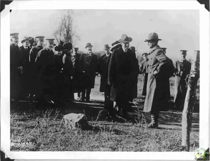 Кадры Первой мировой войны, не прошедшие цензуру