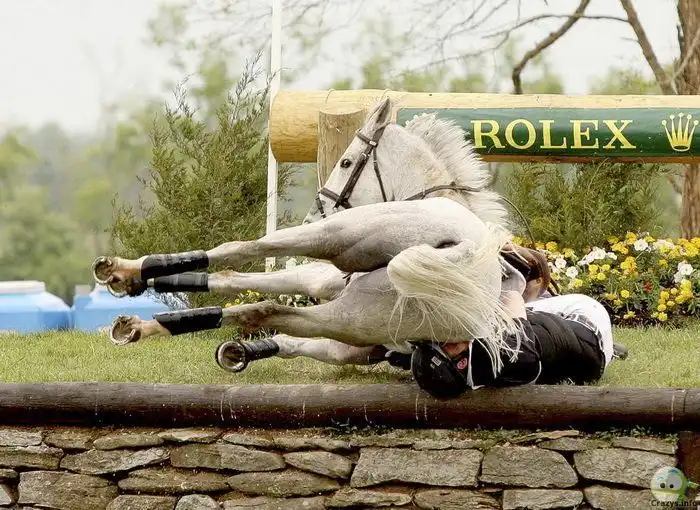 Прикольные картинки абавсём:D (26.04.10)