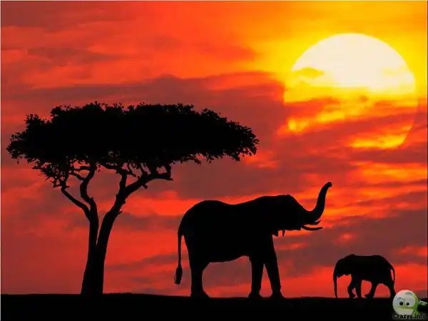 Кения в фотографиях