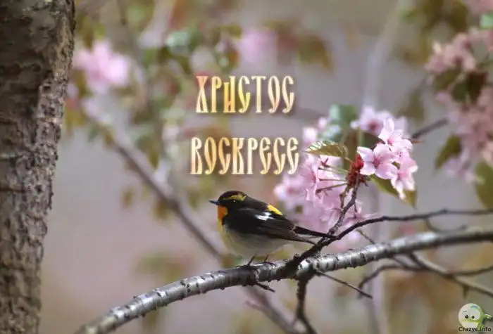 На Пасхальный стол