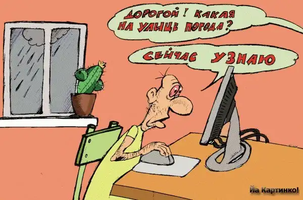 Подборка веселых историй