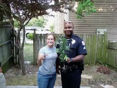 Просто прикольные картинки :))