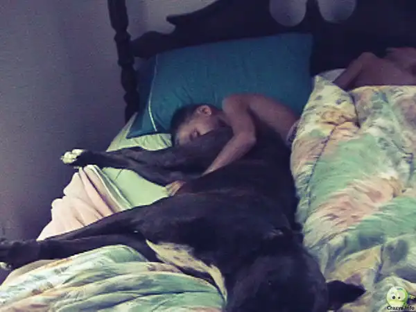 Ужасные жизненные ситуации