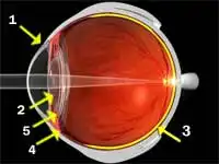 Минздрав предупреждает: 3d-фильмы вредят здоровью