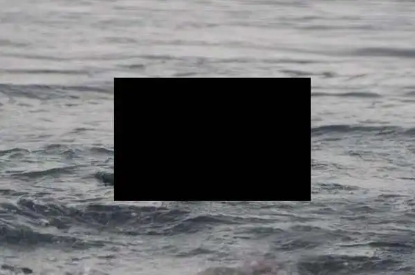 Спастись не удалось (12 фото)