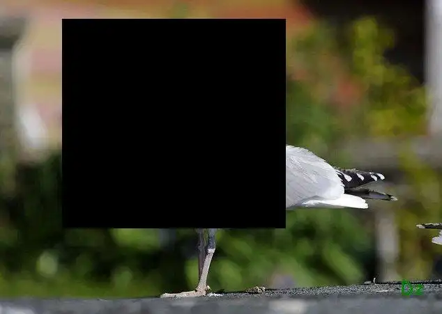 А че у нее там торчит ??(2 фото)