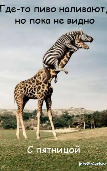 Чисто мужской пост.Про пивко)
