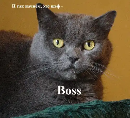 Операция Пятница! Начинаем подготовку!