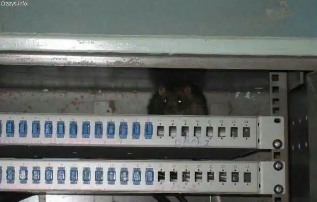 Компьютерные маразмы