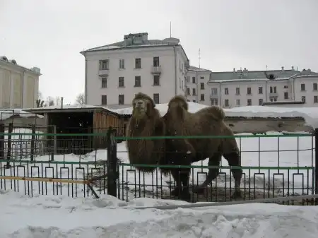 Северский зоопарк