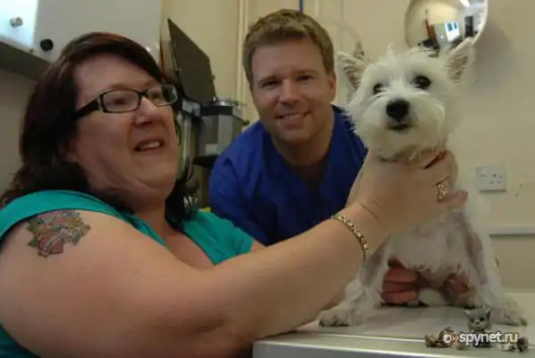 Поедатель котов (4 фото)