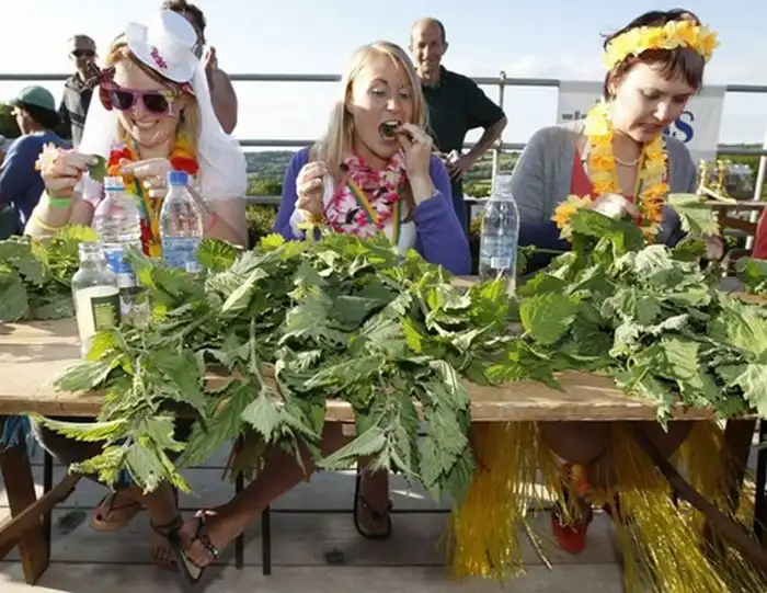 Чемпионат по поеданию крапивы