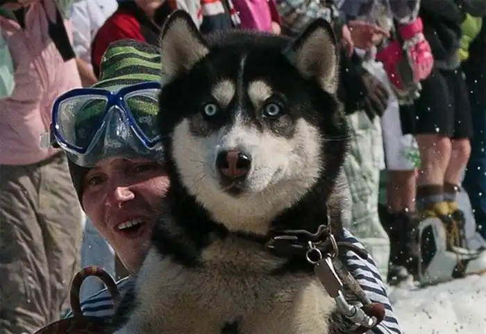 Прикольные картинки абавсём:D (04.06.10)