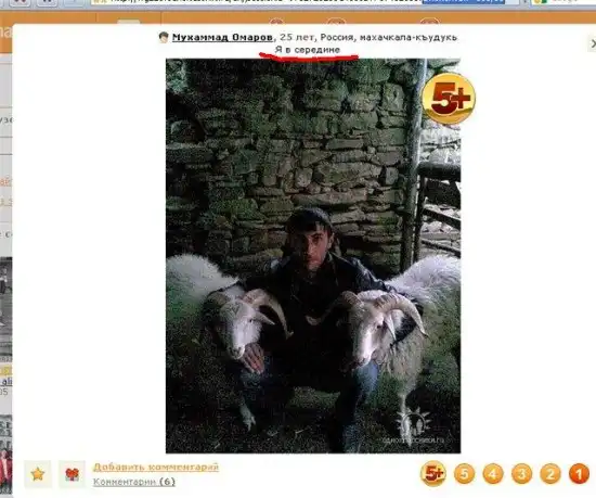 Прикольные картинки абавсём:D (08.06.10)