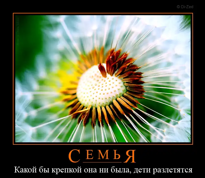 Двенадцать демотиваторов