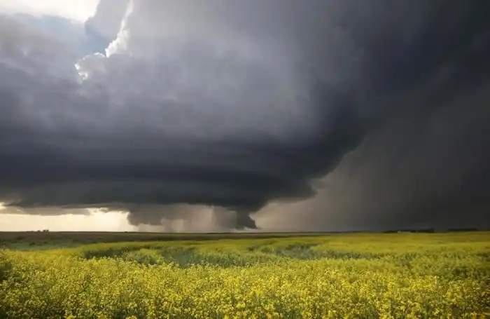 Месть небес человечеству