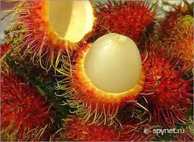 Топ 10 экзотических фруктов, которые стоит попробовать