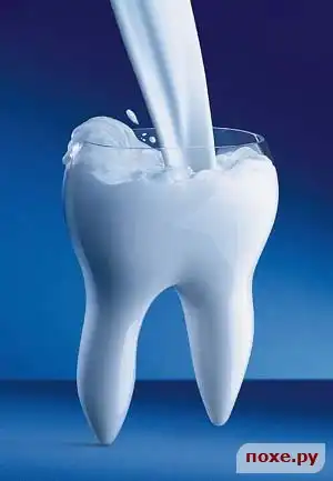 Интересные факты о зубах