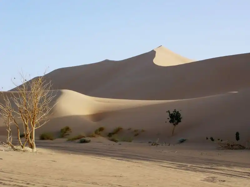 Заповедник Тенере (T&#233;n&#233;r&#233; desert), Нигер