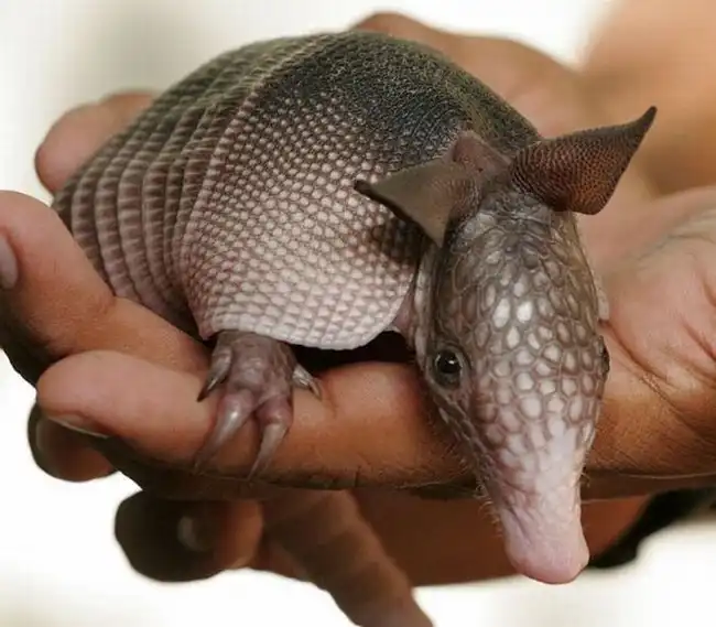 Фотоподборка