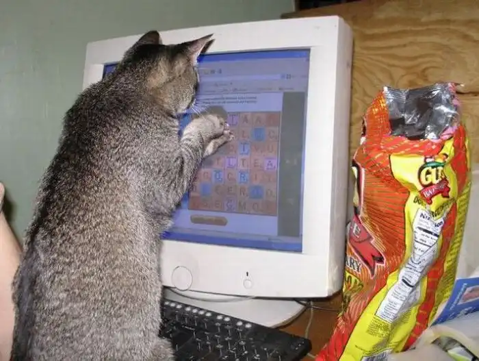 Фотоподборка