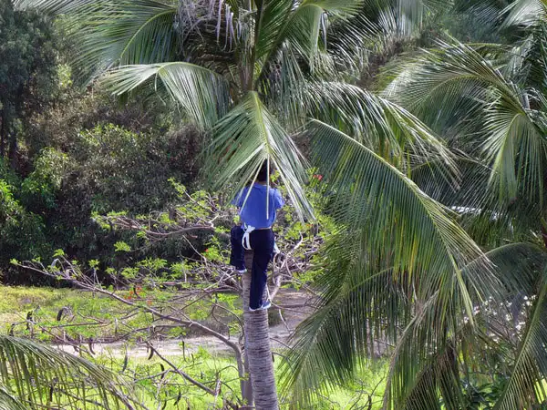 Странные профессии