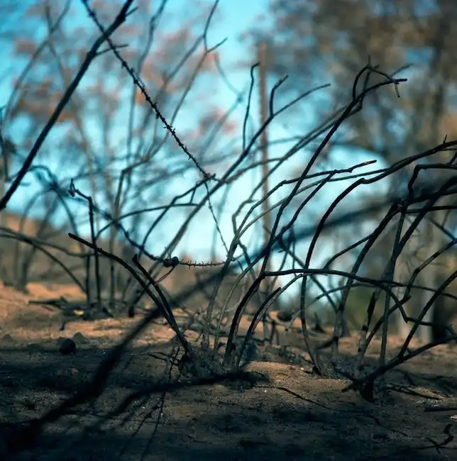 Фотографии выжженной земли от Michael Wells