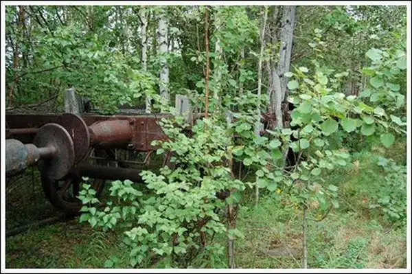 Заброшенная железная дорога