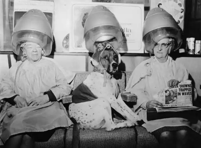 Правда или нет?