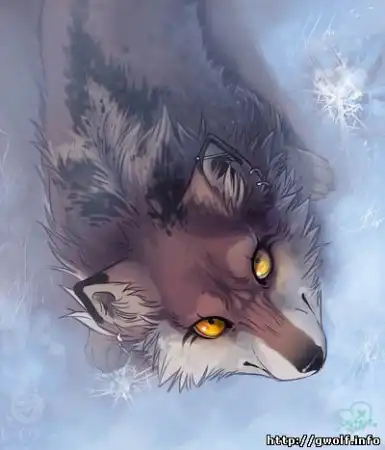 Волки фурри-арт