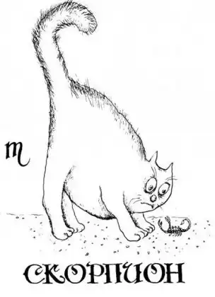 Гороскоп знаков зодиака